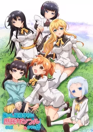 Простолюдин в школе благородных девиц