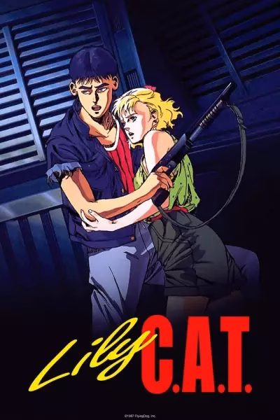 Кошка по имени Лили