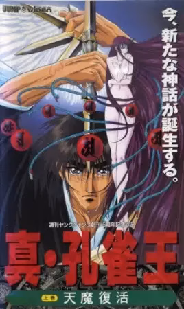 Заклинатель Кудзяку (1994)