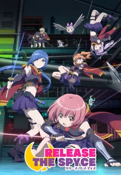 Освобождение шпионов