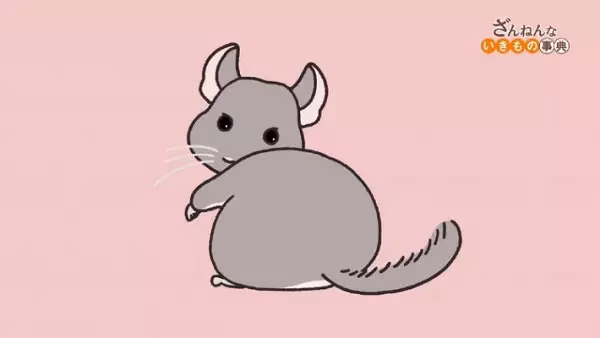 Энциклопедия жалких созданий 3 сезон