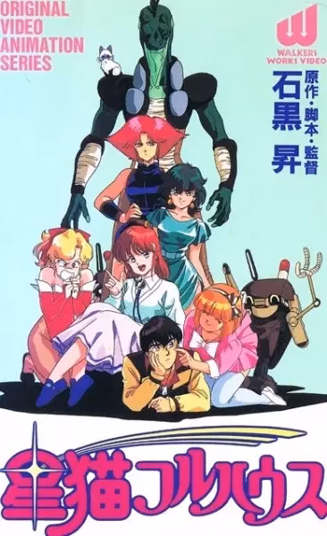 Звёздные коты